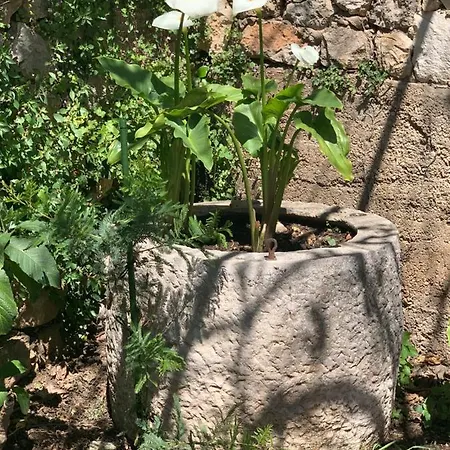 Libertas Ragusa